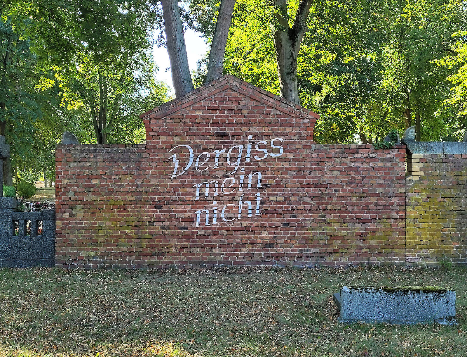 Vergissmeinnicht
